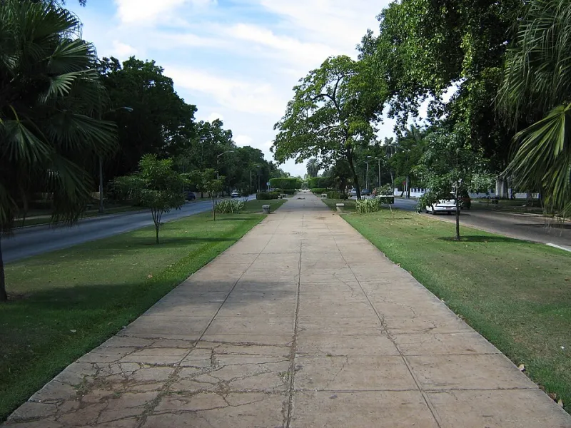 Avenue of Ambition: The Storied Legacy of Quinta Avenida and What It Means to Stay Here