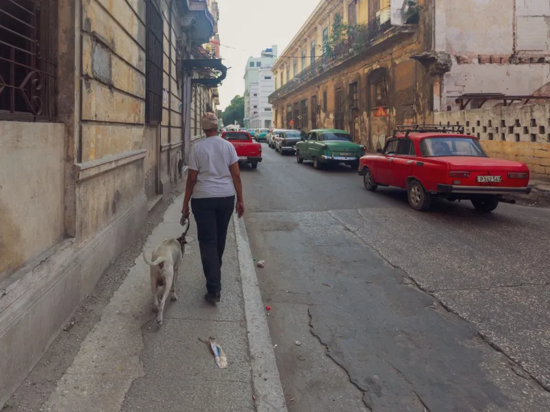The Disciplined Art of Doing Nothing: A Framework for Genuine Freedom in Havana