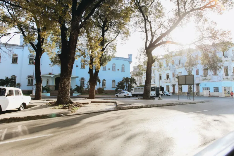 A Boulevard Built for Greatness: The Untold History of Quinta Avenida and What It Still Demands of Its Guests